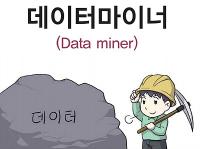 데이터마이너(Data Miner)IT 및 공학 분야