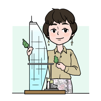 건축사